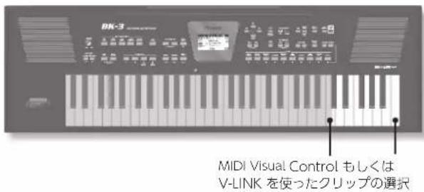 ROLAND BK3 - MIDI Visual Control はは V-LINK に対応た機器の フリツやバングを選む - 1