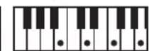 ROLAND BK3 - ×毛 - 120