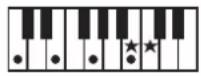 ROLAND BK3 - ×毛 - 8
