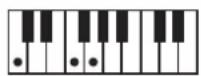 ROLAND BK3 - ×毛 - 56