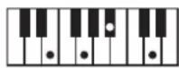 ROLAND BK3 - ×毛 - 48