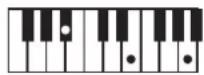 ROLAND BK3 - ×毛 - 68