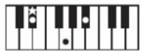 ROLAND BK3 - ×毛 - 5