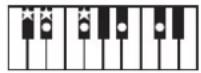 ROLAND BK3 - ×毛 - 29