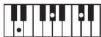 ROLAND BK3 - ×毛 - 72