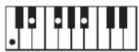 ROLAND BK3 - ×毛 - 44