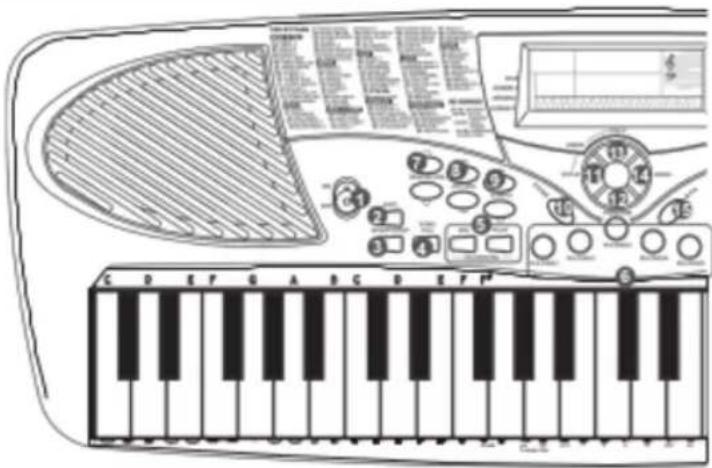 Medeli MC37A - Face avant - 1