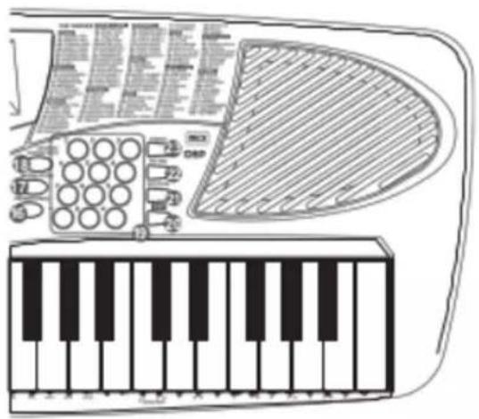 Medeli MC37A - Pecran - 1