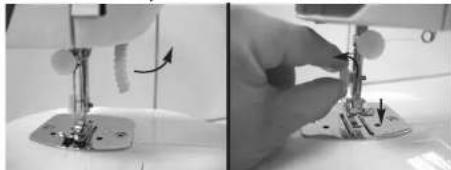 JOCCA 6643 - HOW TO REMOVE THE PRESSER FOOT - 1