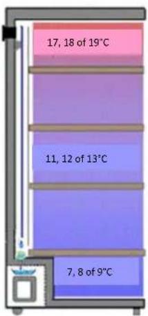 AVINTAGE DV315MGN32 - SCHEMA VOOR DE WEERGAVE VAN DE VERSCHILLENDE TEMPERATUURNIVEAUS IN UW WIJNKAST (NAARGELANG VAN DE INSTELLING): - 1