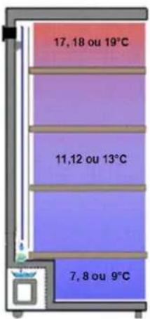 AVINTAGE DV315MGN32 - SCHEMA DE VISUALISATION DES DIFFERENTS NIVEAUX DE TEMPERATURE DANS VOTRE CAVE A VINS (SUIVANT REGLAGE) : - 1