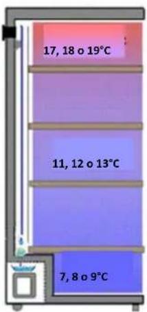 AVINTAGE DV315APN62 - ESQUEMA DE VISUALIZACIÓN DE LOS DIFERENTES NIVELES DE TEMPERATURA EN LA VINOTECA (SEGÚN EL AJUSTE): - 1