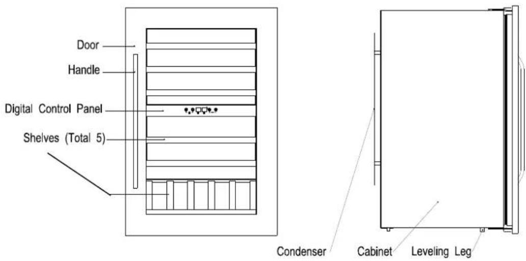 AVINTAGE AV79XDZI1 - ELECTRICAL ConnexION - 1