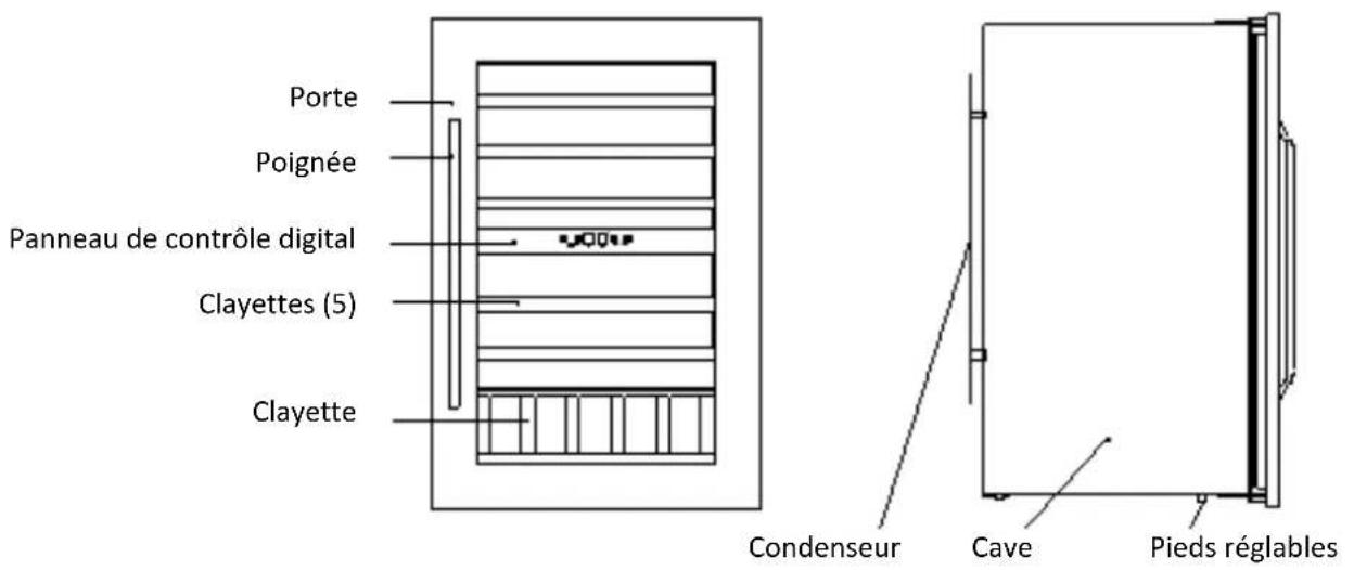AVINTAGE AV79XDZI1 - Connection au RESEAU electrique - 1