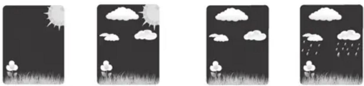 ADE WS 1503 - Previsioni del tempo e tendenza meteo - 1