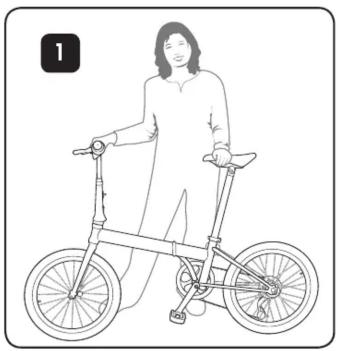 DAHON Espresso D21 - 1