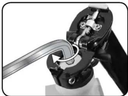 DAHON Briza D7 - REMARQUE: - 4