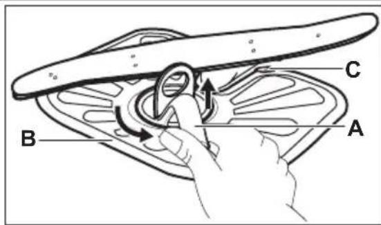 Leonard LI1315 - Rengoring af titre - 1