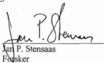 Jøtul F 271 - SINTEF 110-0209 - 1