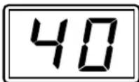 PRESIDENT Walker Classic - 6) PANTALLA - 1
