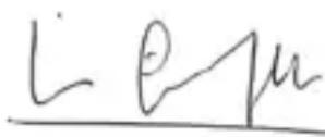 PRESIDENT Randy II - DECLARACIÓN DE CONFORMIDAD - 1