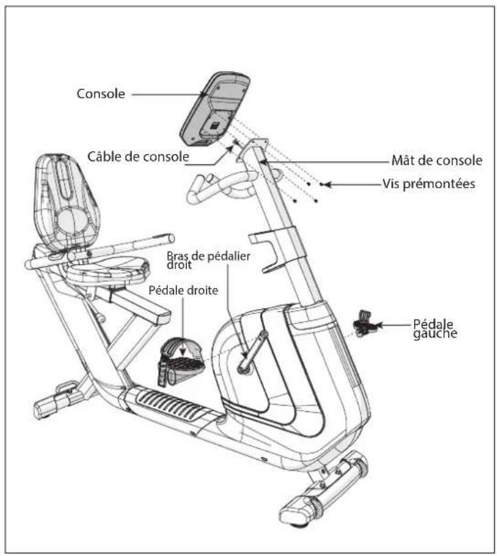 Horizon Fitness Comfort 8i - SACHET De VIS pour l'etape 6: - 6