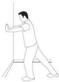 Horizon Fitness Adonis - ETIREMENTS AVANT L'ENTRAJINEMENT - 1