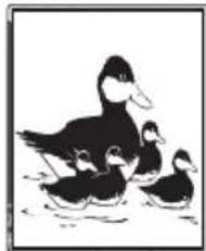 ITT CTV 29100 ST - PAT (Image et Texte) - 1