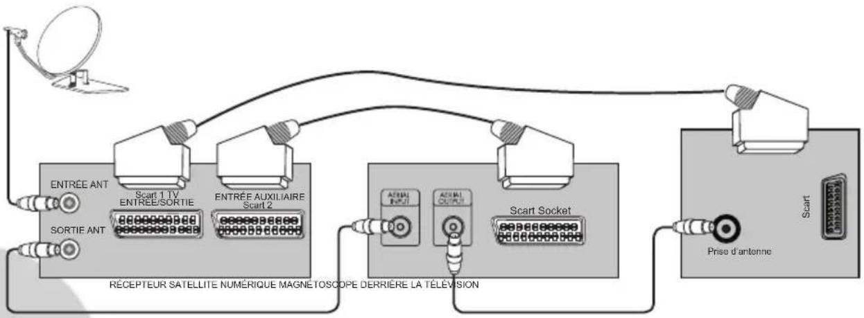 ITT CTV 2150 ST - Connexion TV avec vidéo et satellite/Serveur digital - 1