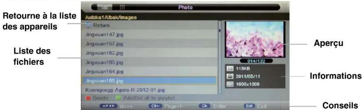 Axxion ADVL2458 - Conseils d'utilisation - 1