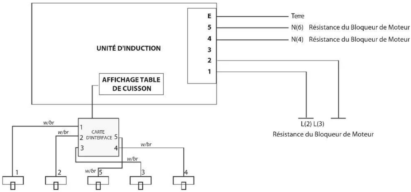 FALCON Professional Plus 90 Induction - Table de cuisson - 1