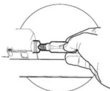 FALCON LEIHDC90BBEU - Lampade alogene da 28 W - 1