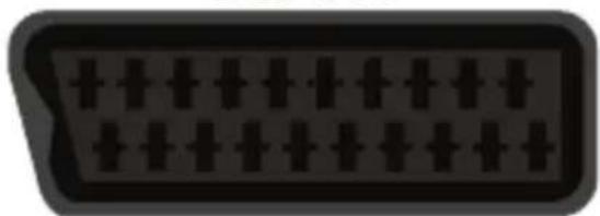 XORO HTC 2232D - SCART Eingang - 1
