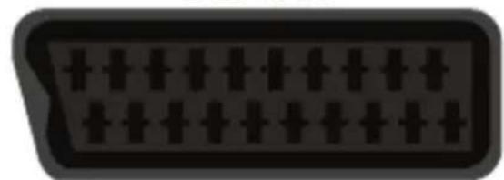 XORO HTC 2232D - SCART Input - 1
