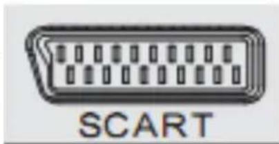XORO HTL 2231D - SCART Input - 1