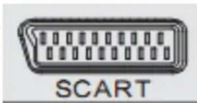 XORO HTL 2231D - SCART Eingang - 1