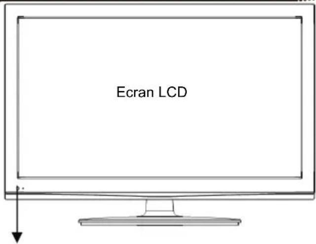 XORO HTL 2231D - LCD Panel - 1