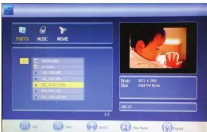 XORO HTL 2231D - PHOTO - 1