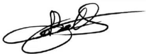 VELLEMAN WS3080 - System alarm settings - 1