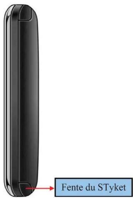 SYLVANIA SGPD430 - Composants lateraux droits - 1