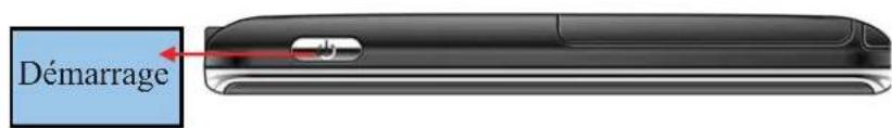SYLVANIA SGPD430 - Composants supérieurs - 1