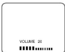 SYLVANIA 6319CCB - VISIONNEMENT D'UNE EMISSION TÉLEVISEE - 1