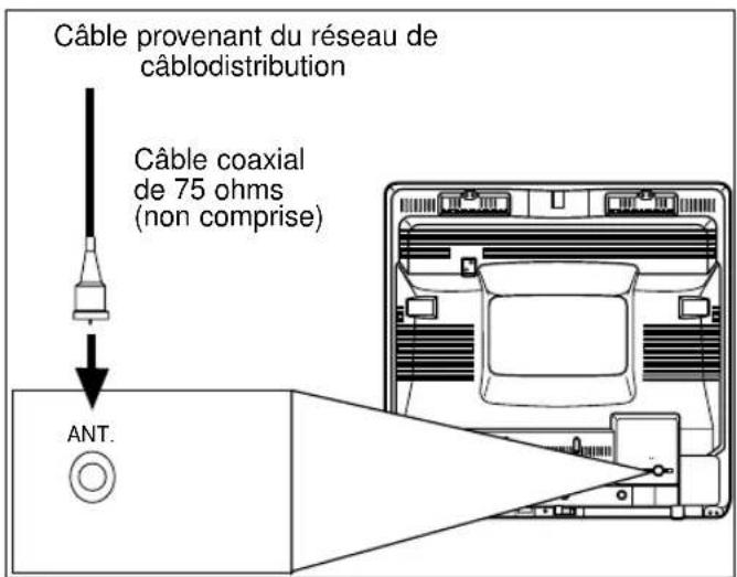 SYLVANIA 6319CCB - RACCORDEMENT - ABONNE AU CABLE SANS CONVERTISSEUR NI DÉCODEUR SEPARÉ - 1