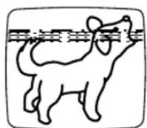 SYLVANIA 6319CCB - TRACKING ADJUSTMENT - 1