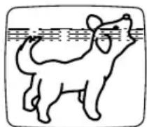 SYLVANIA 6313CCB - ALIGNEMENT - 1