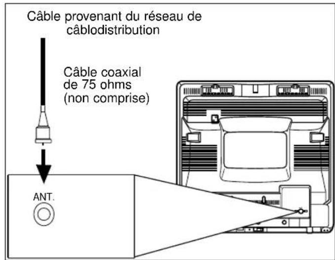 SYLVANIA 6313CCB - RACCORDEMENT - ABONNE AU CABLESANS CONVERTISSEUR NI DÉCODEUR SÉPARÉ - 1