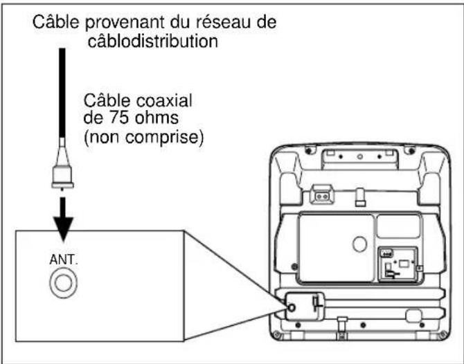 SYLVANIA 6309CCB - RACCORDEMENT - ABONNÉ AU CÂBLE SANS CONVERTISSEUR NI DÉCODEUR SÉPARÉ - 1