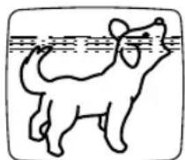 SYLVANIA 6309CCB - ALIGNEMENT - 1