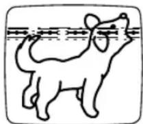 SYLVANIA 6309CCB - TRACKING ADJUSTMENT - 1