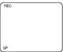 SYLVANIA 6309CCB - Begin recording - 2